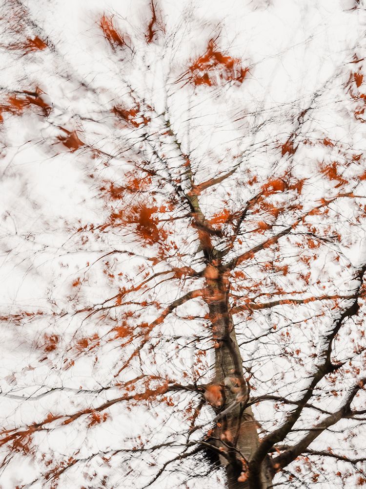 Autumn leaves art print by Imaginative for $57.95 CAD