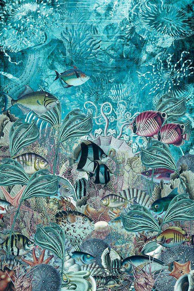 School of Fish (Collective Nouns) art print by Simon Goggin for $57.95 CAD