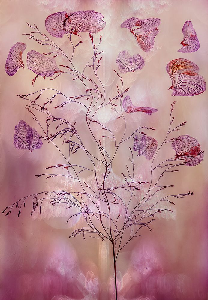 fragility art print by Hilda van der for $57.95 CAD