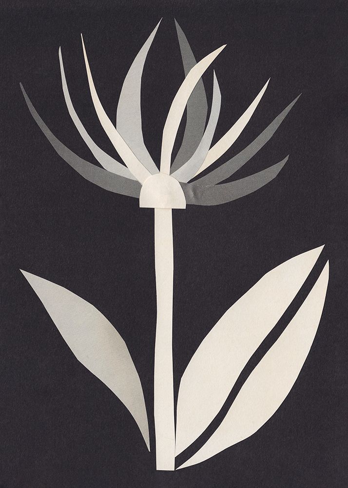 Paper Flower art print by Alisa Galitsyna for $57.95 CAD