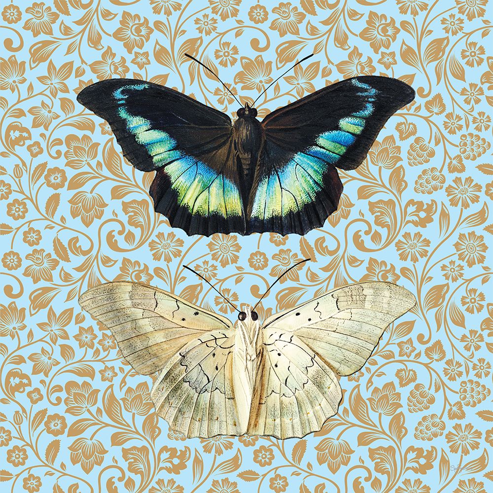 Butterflies art print by Sue Skellern for $57.95 CAD