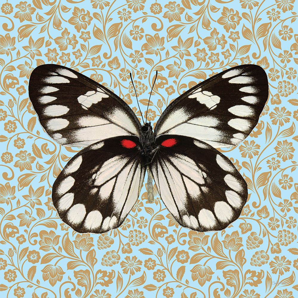 Butterfly #1 art print by Sue Skellern for $57.95 CAD