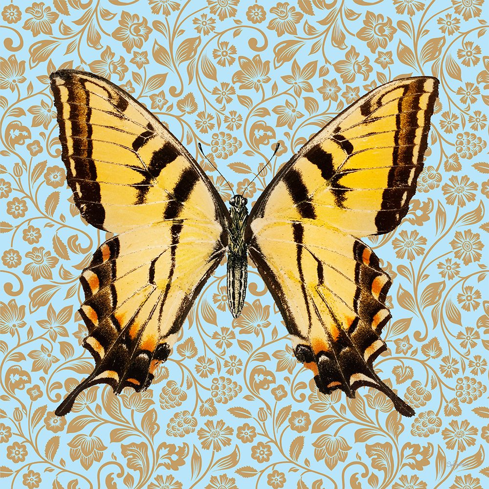 Butterfly #5 art print by Sue Skellern for $57.95 CAD