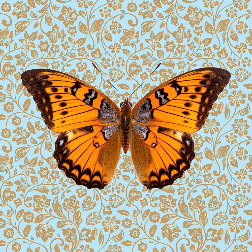 Butterfly #6 art print by Sue Skellern for $57.95 CAD