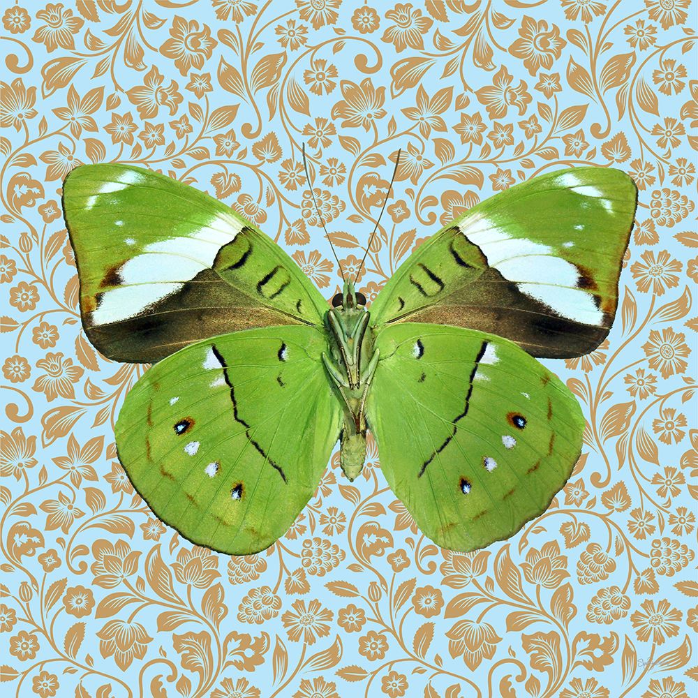 Butterfly #8 art print by Sue Skellern for $57.95 CAD