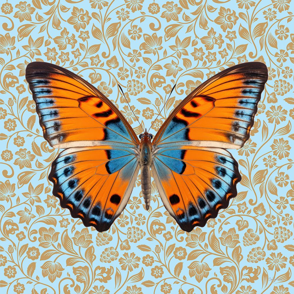 Butterfly #9 art print by Sue Skellern for $57.95 CAD
