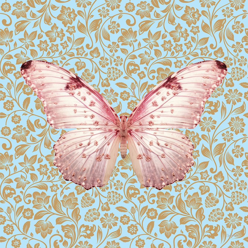 Butterfly #10 art print by Sue Skellern for $57.95 CAD