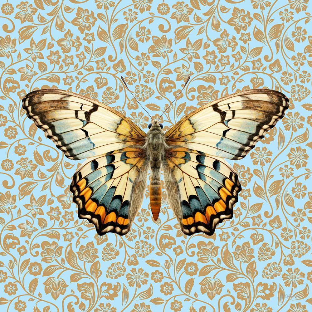 Butterfly #11 art print by Sue Skellern for $57.95 CAD