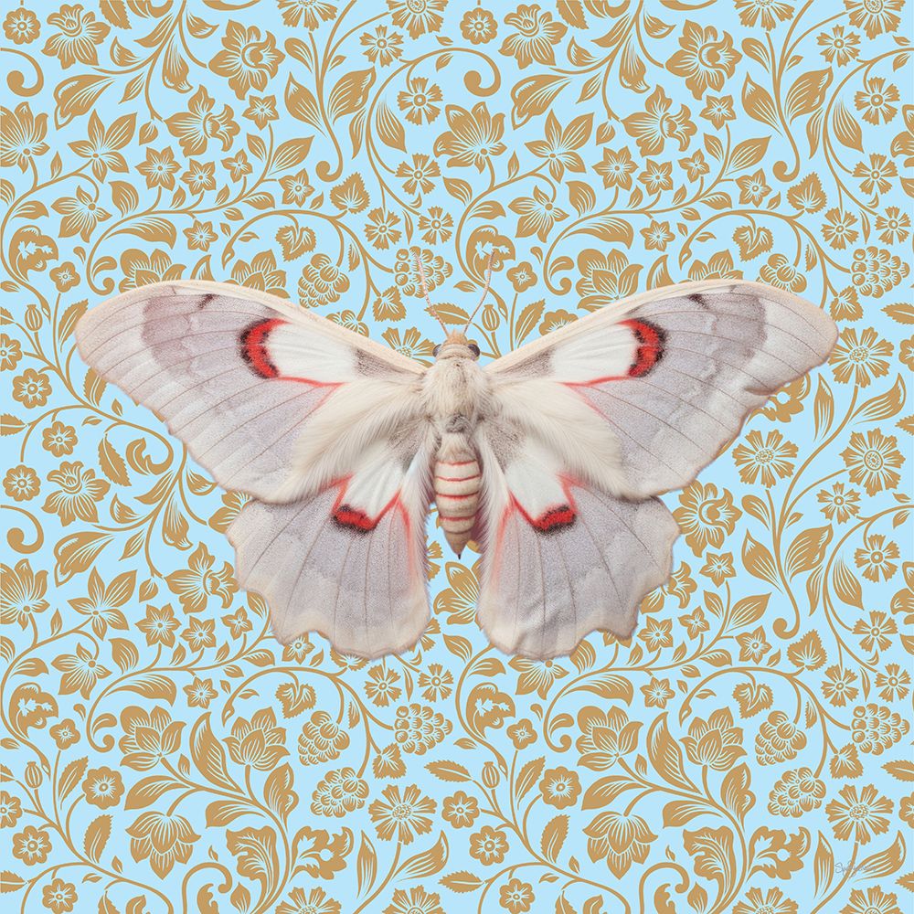 Butterfly #12 art print by Sue Skellern for $57.95 CAD