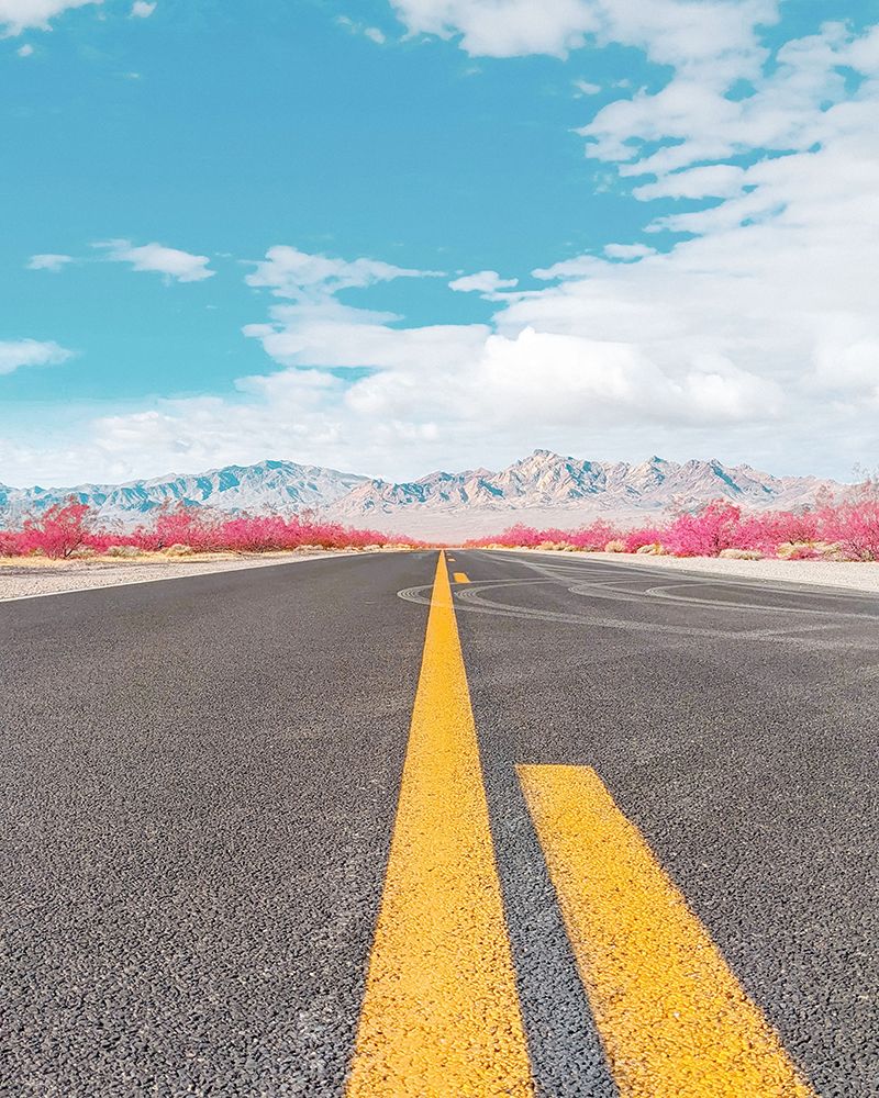 Road to Death Valley art print by Tom Windeknecht for $57.95 CAD