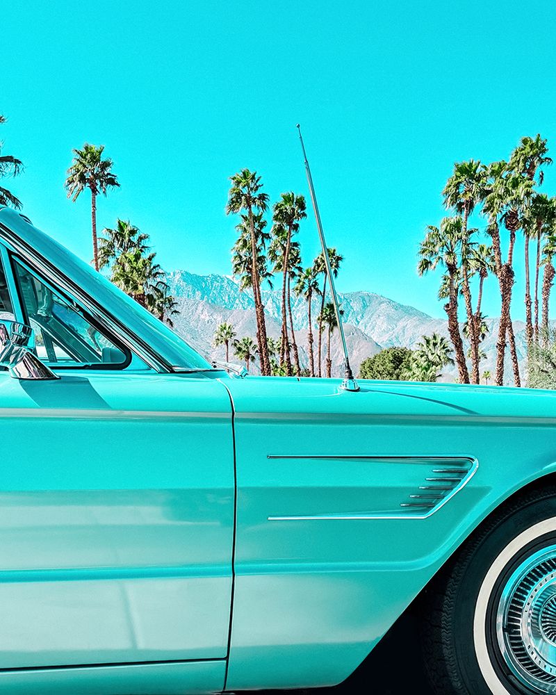 Teal Thunderbird in Palm Springs art print by Tom Windeknecht for $57.95 CAD