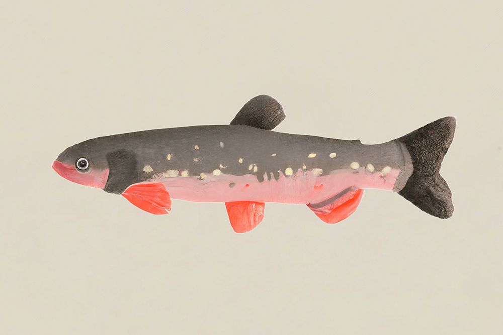 Still Fishy art print by Merel Takken for $57.95 CAD