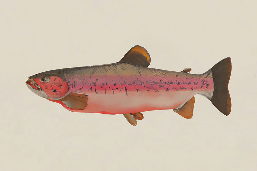 Fishy art print by Merel Takken for $57.95 CAD