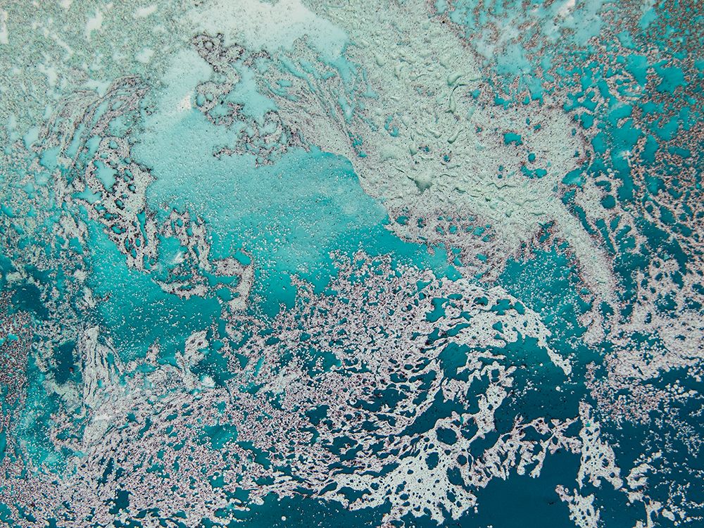 Tranquil art print by Petra de Meikle for $57.95 CAD