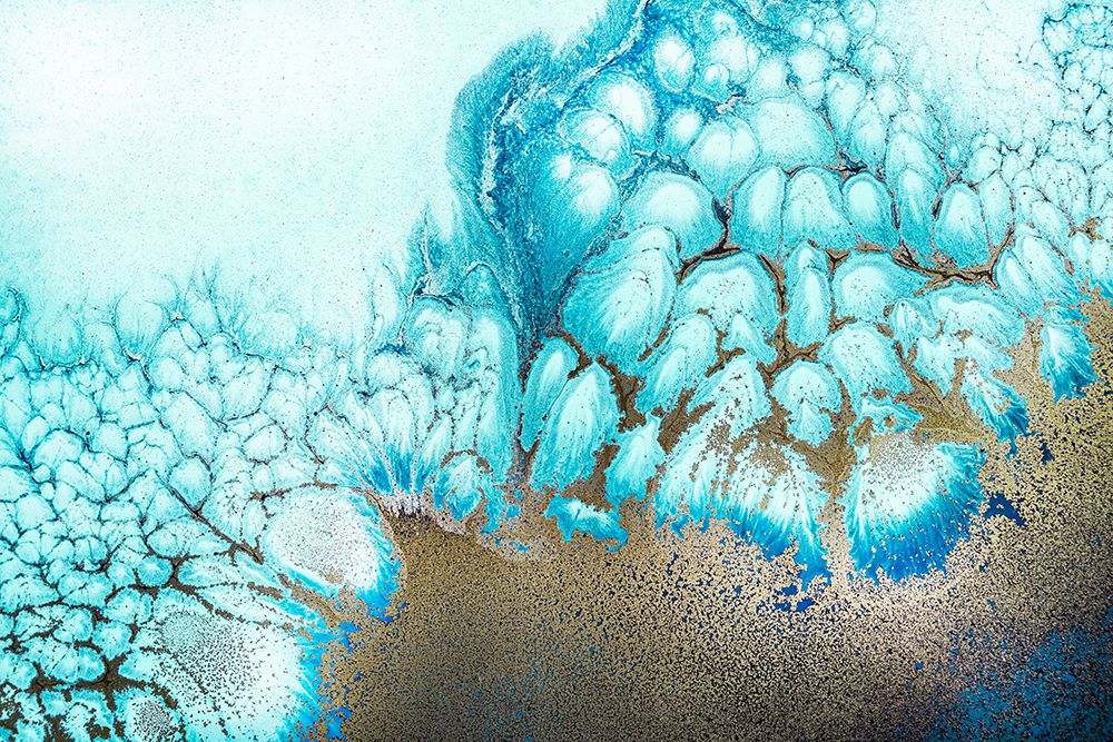 Moonlit Reef art print by Petra de Meikle for $57.95 CAD