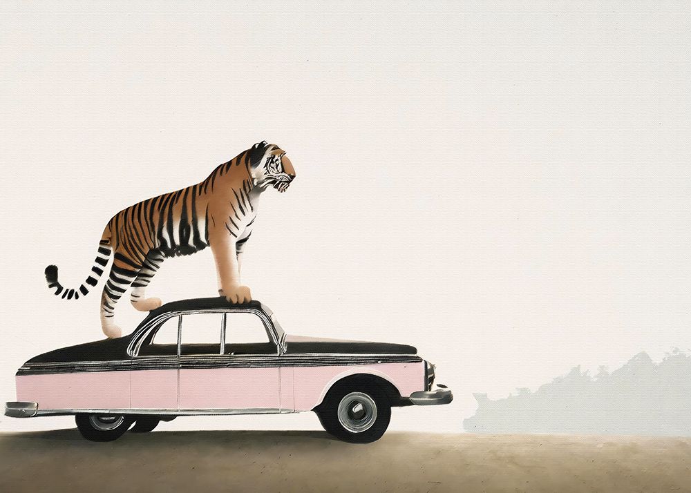 Tiger om a car roof art print by Andreas Magnusson for $57.95 CAD
