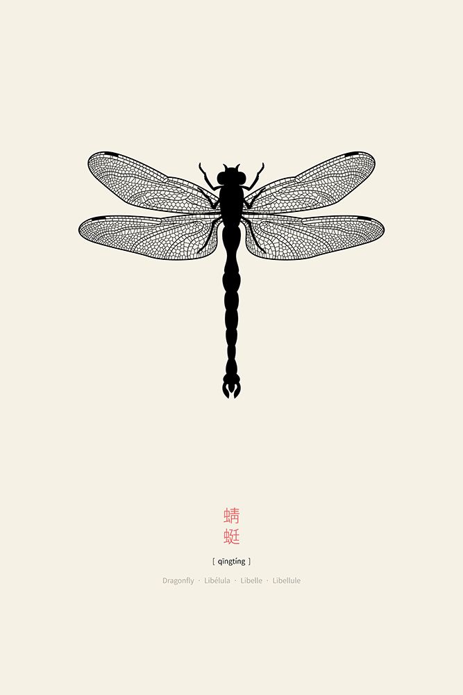 Dragonfly art print by Thoth Adan for $57.95 CAD