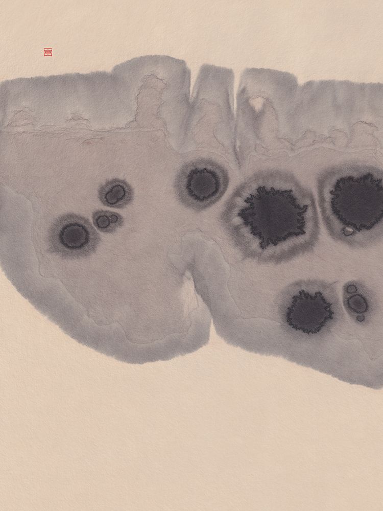 Study NAd7 | Epidermis art print by Thoth Adan for $57.95 CAD