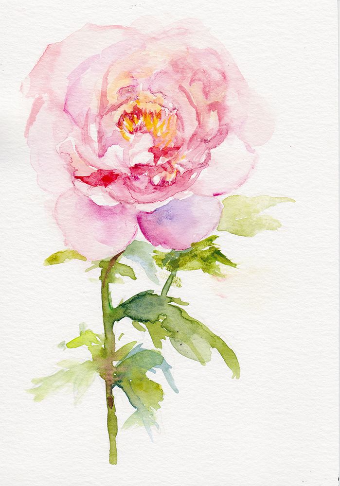 Peony November art print by Christine Lindstrom for $57.95 CAD