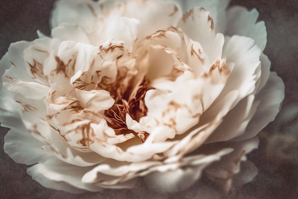 Nostalgicnatureno21 art print by Treechild for $57.95 CAD