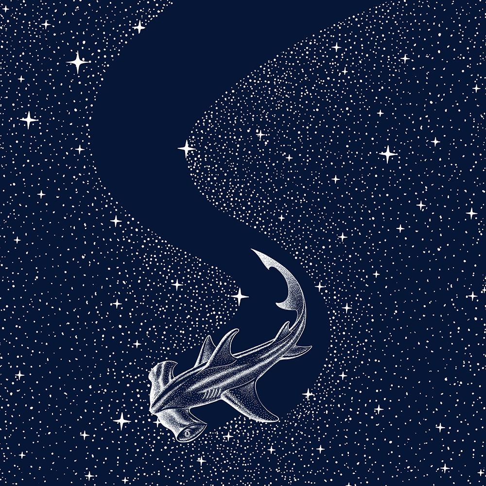 Starry Hammerhead art print by Aliraza Cakir for $57.95 CAD