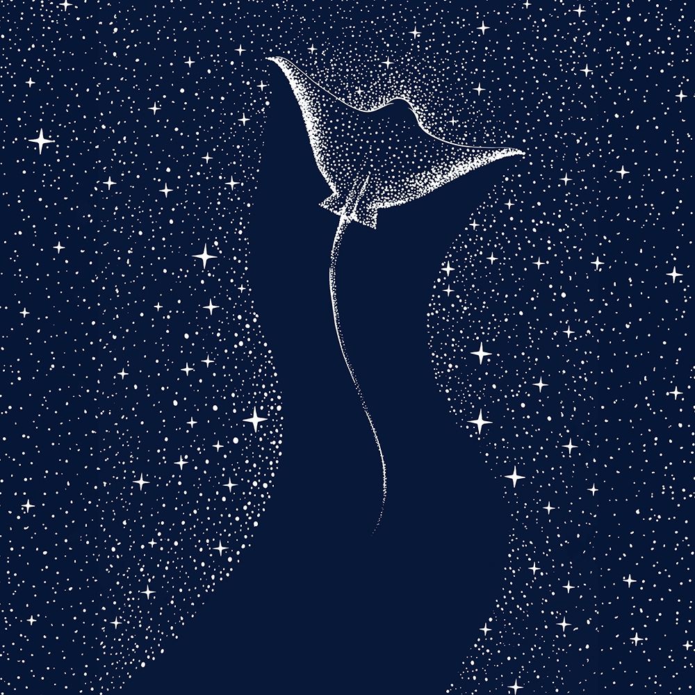 Star Collector art print by Aliraza Cakir for $57.95 CAD