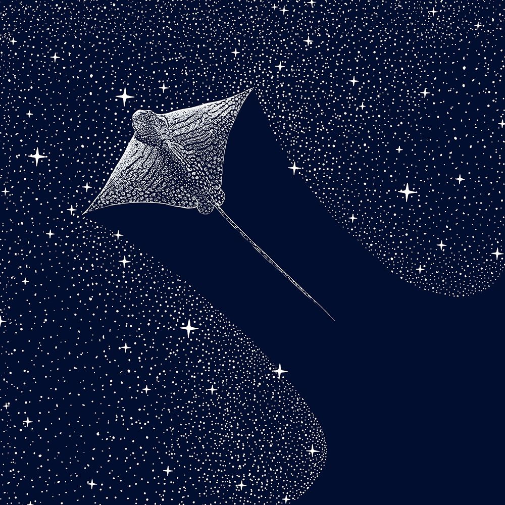 Starry Ornate Eagle Ray art print by Aliraza Cakir for $57.95 CAD