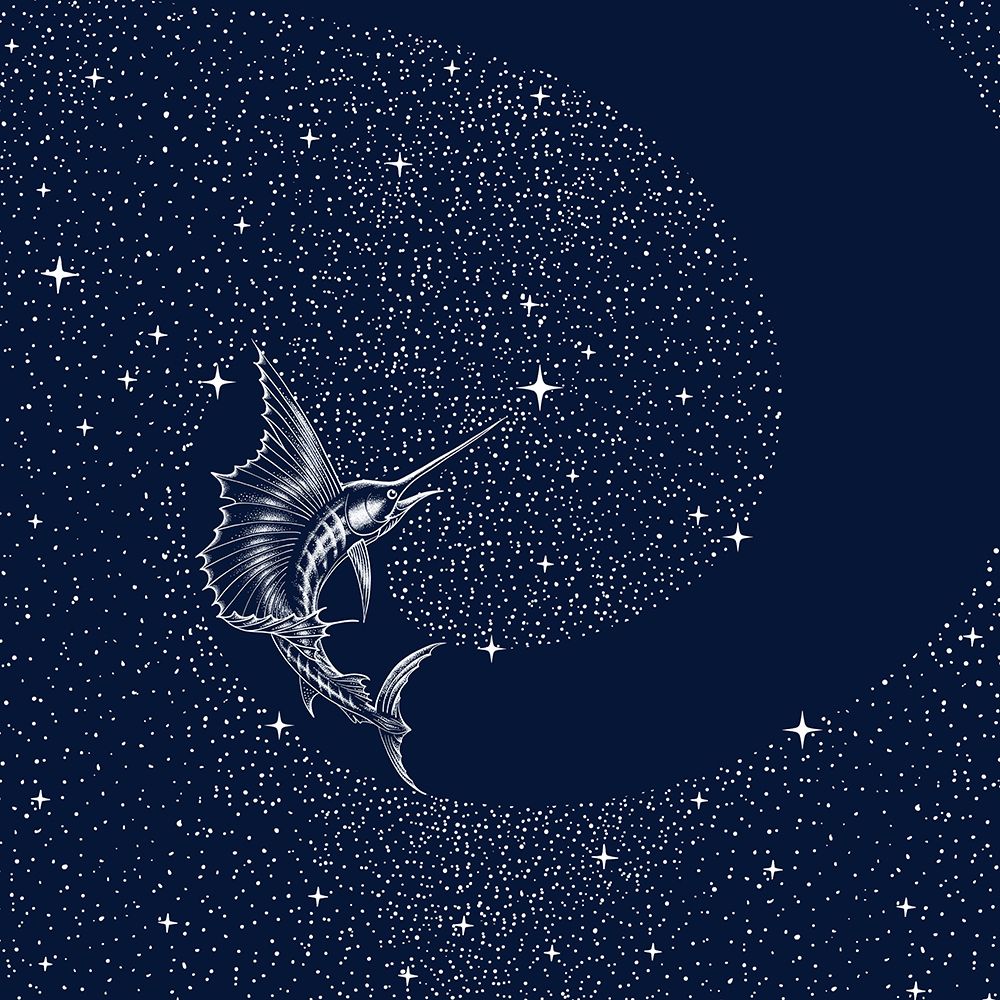 Starry Sailor art print by Aliraza Cakir for $57.95 CAD