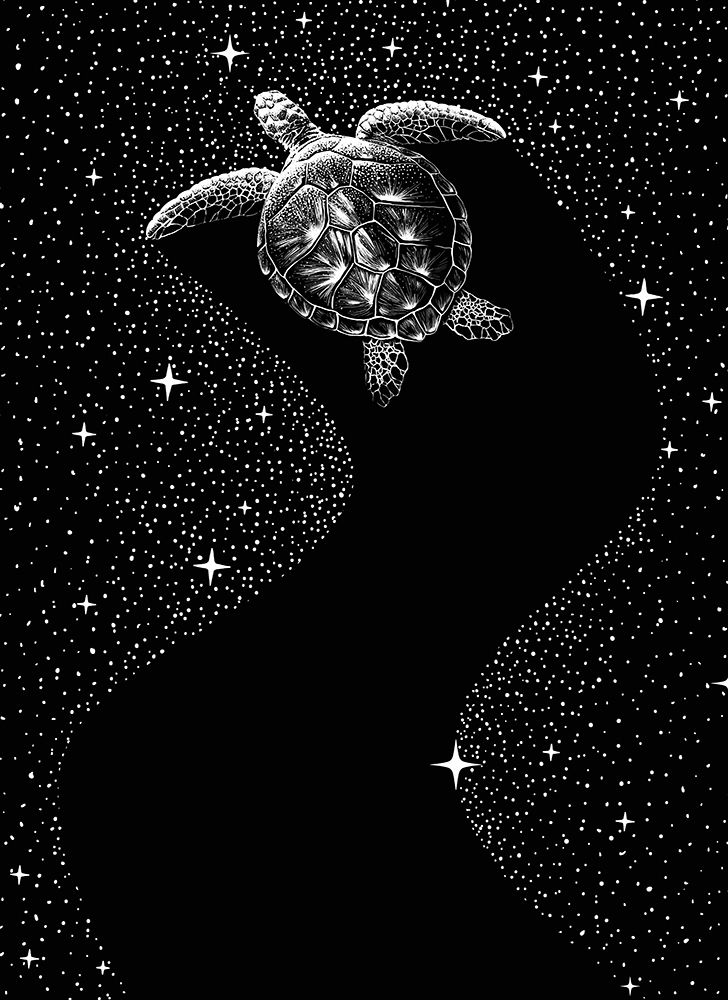 Starry Turtle  (Black Version) art print by Aliraza Cakir for $57.95 CAD