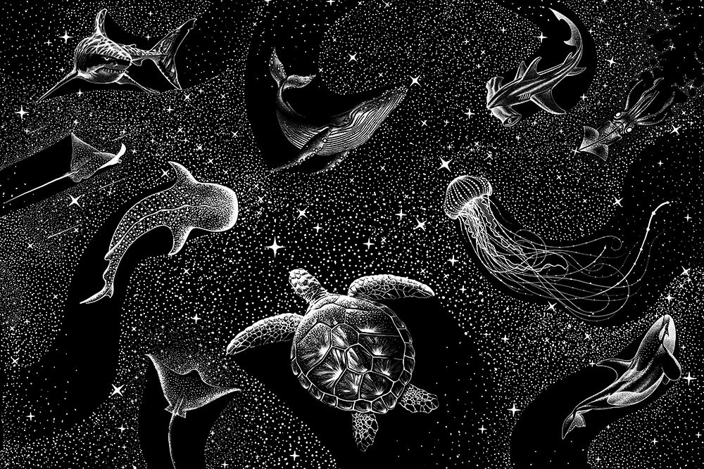 Cosmic Ocean  (Black Version) art print by Aliraza Cakir for $57.95 CAD