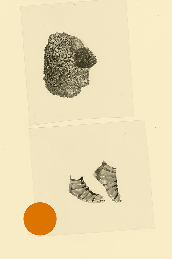 Huvudfoting art print by Alexander Adiels for $57.95 CAD