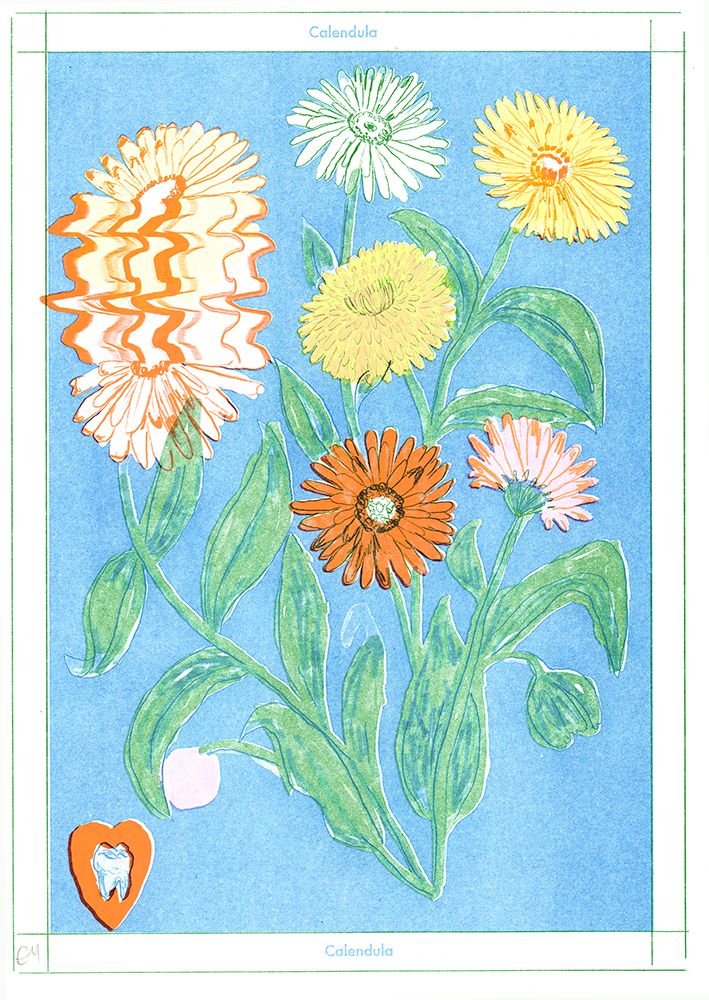 Calendula art print by Emma Make for $57.95 CAD
