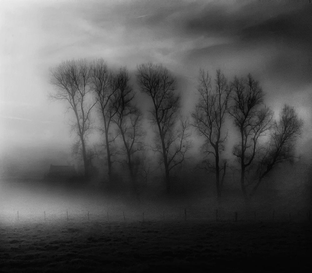 50 Shades of Fog art print by Yvette Depaepe for $57.95 CAD