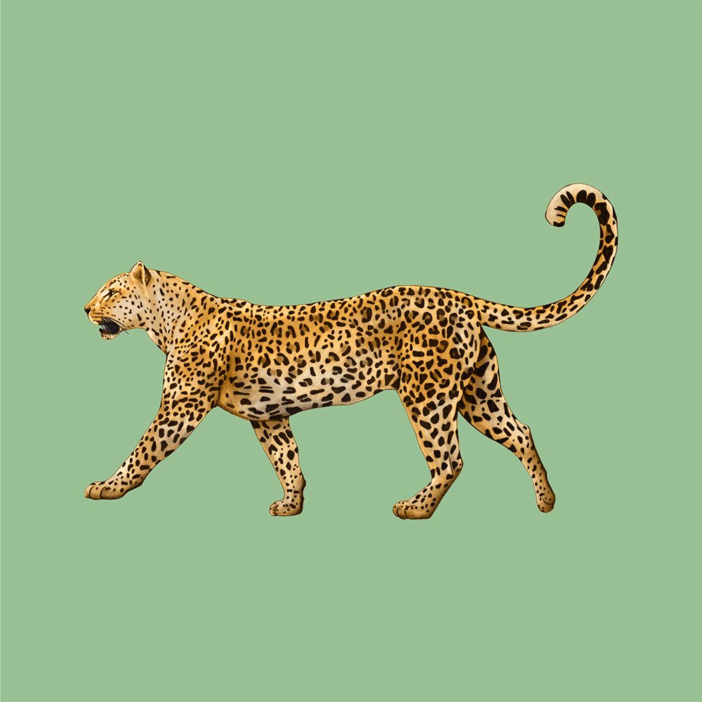 Leopard art print by Giulia Borsi for $57.95 CAD