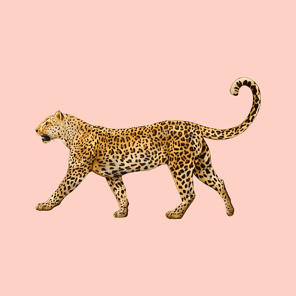 Leopard art print by Giulia Borsi for $57.95 CAD