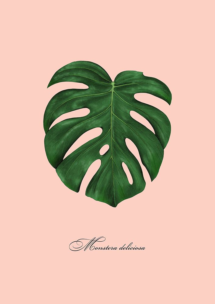Monstera art print by Giulia Borsi for $57.95 CAD