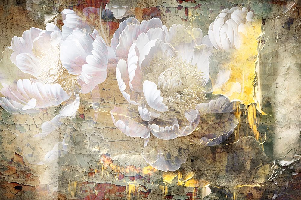 Flowers Wall Art 02 art print by Rafal Kulik for $57.95 CAD