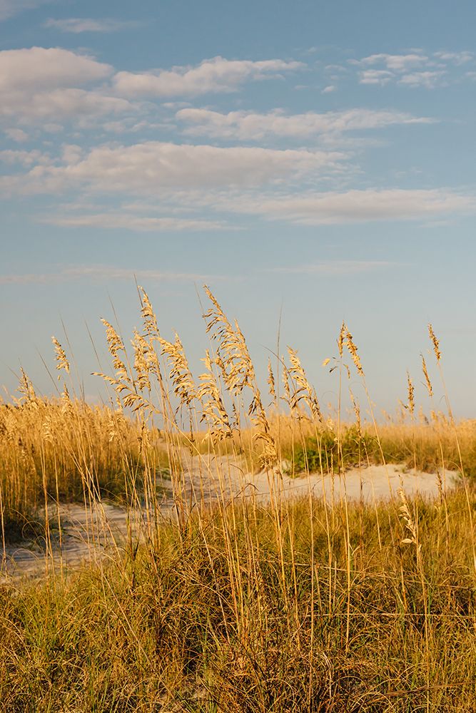 Hilton Head Island II art print by Bethany Young for $57.95 CAD