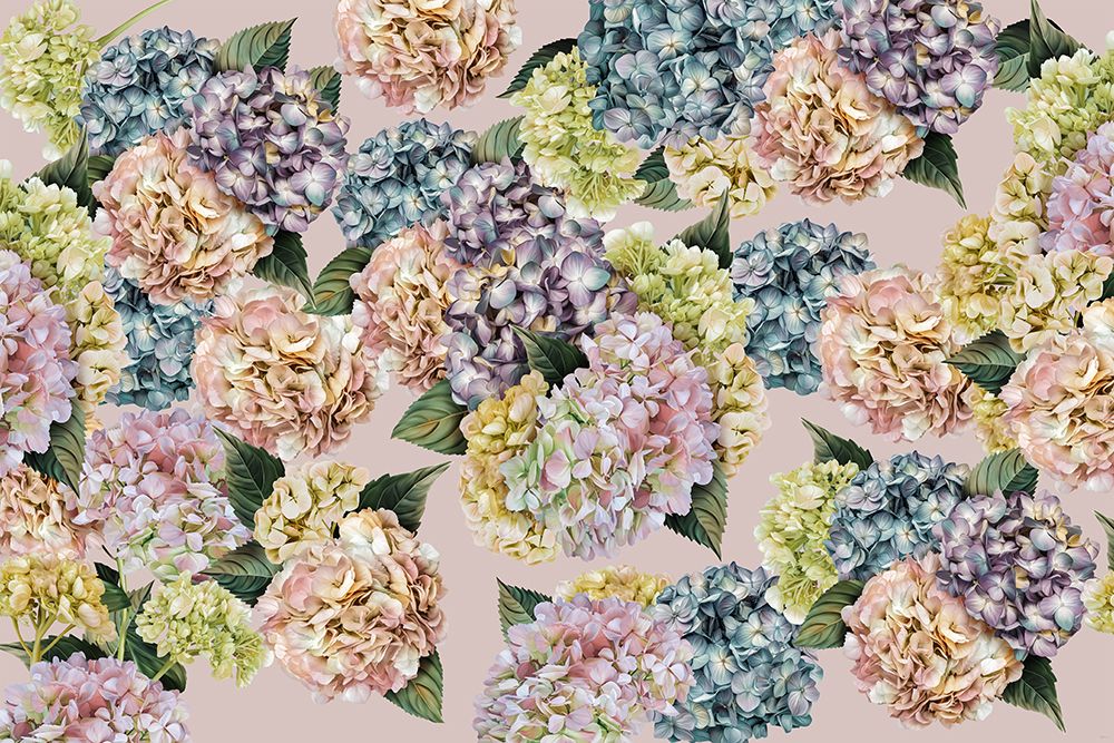 Hydrangeas_Pinky art print by Sue Skellern for $57.95 CAD