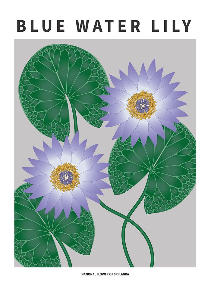 Blue Water Lily - National flower of Sri Lanka art print by Paperago for $57.95 CAD