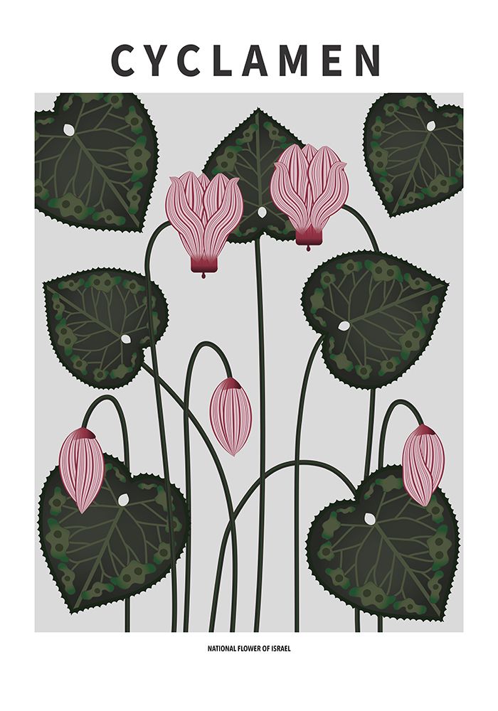 Cyclamen - National flower of Israel art print by Paperago for $57.95 CAD