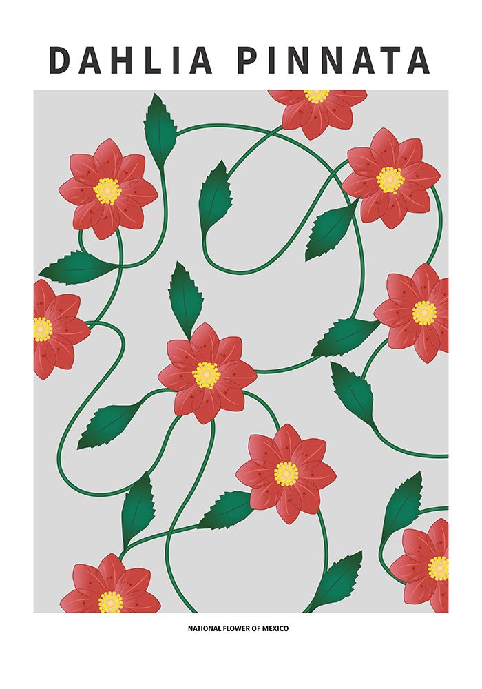 Dahlia  - National flower of Mexico art print by Paperago for $57.95 CAD