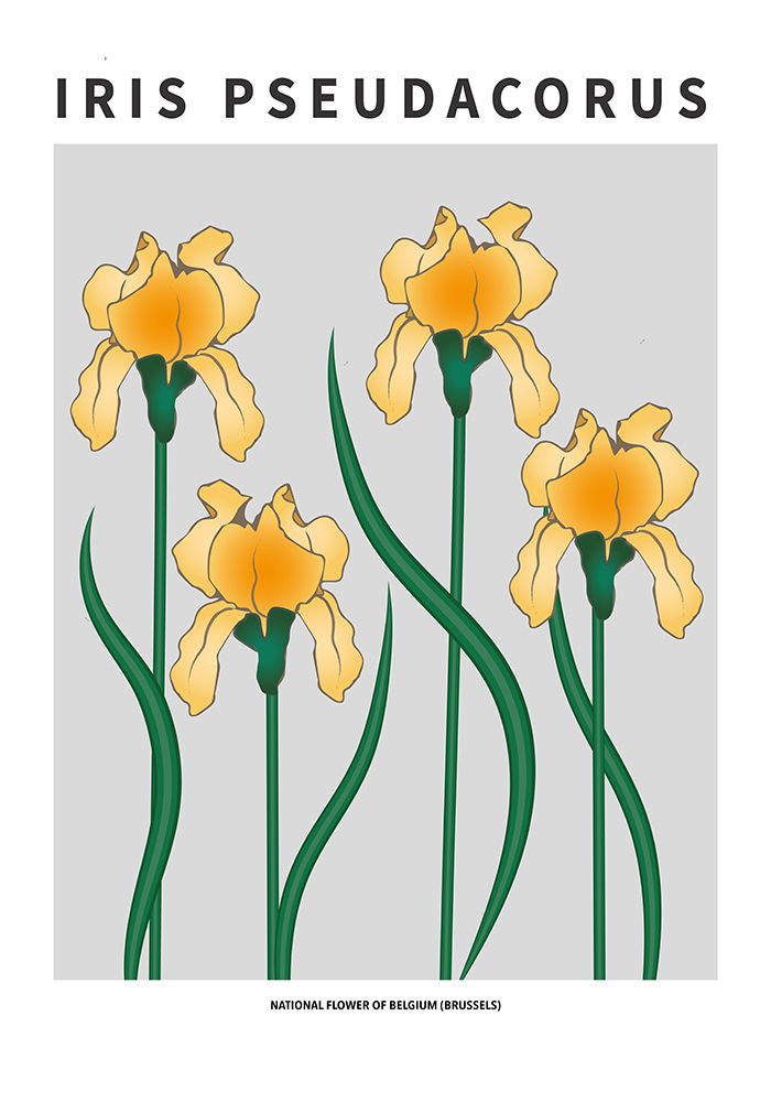 Iris  - National flower of Belgium art print by Paperago for $57.95 CAD