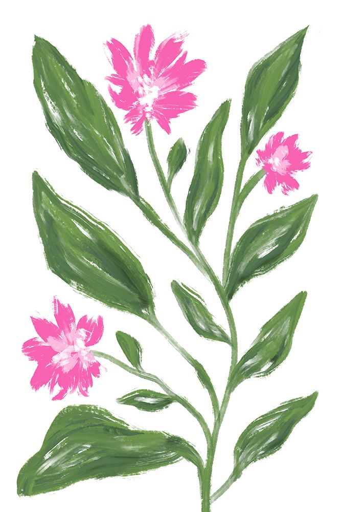 Corn Flower art print by Martina for $57.95 CAD