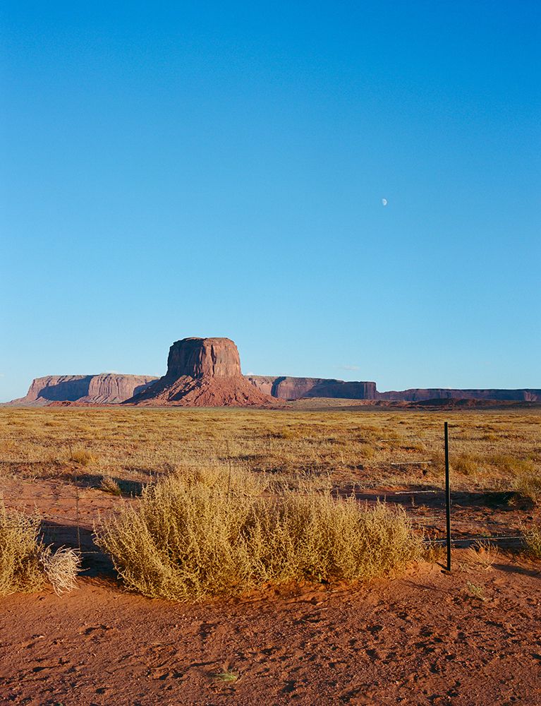 Navajo Nation II art print by Bethany Young for $57.95 CAD