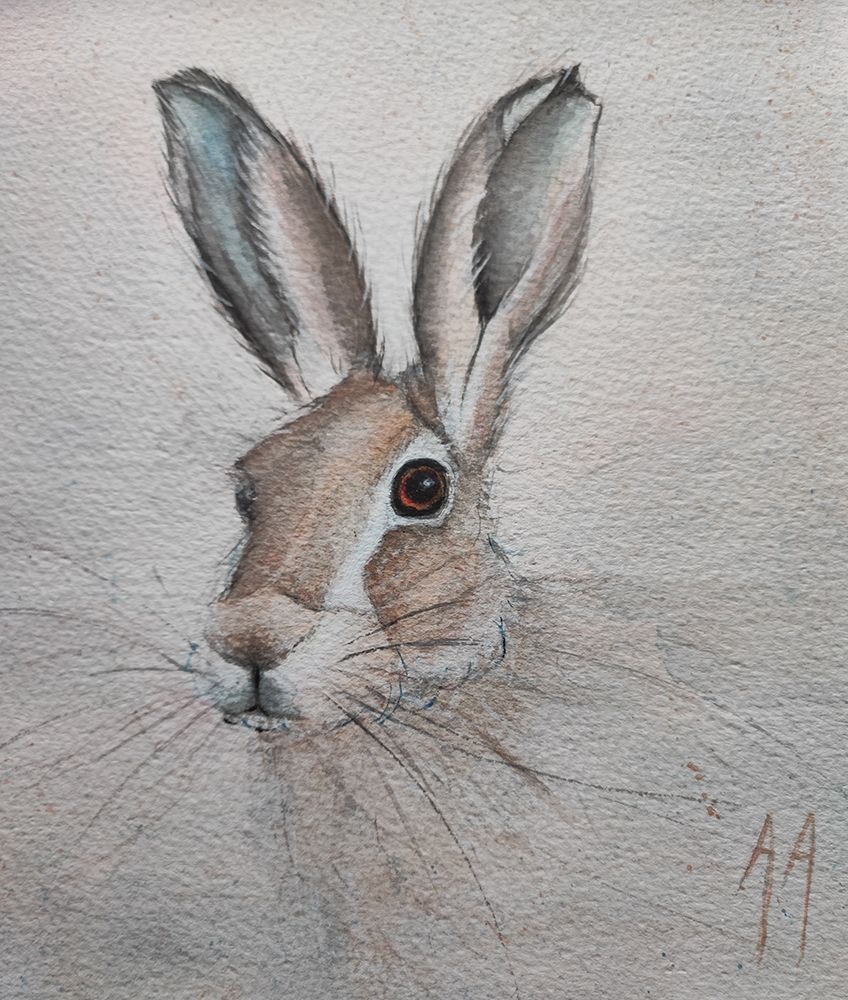Hare art print by Annette Armitage for $57.95 CAD