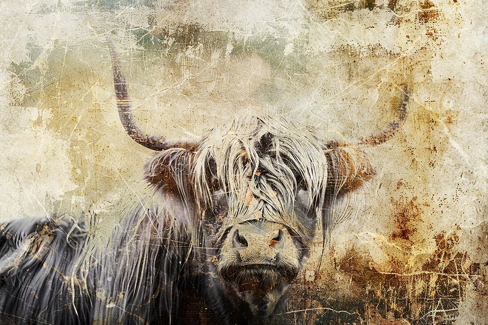Cow Highland Illustration Art 03 art print by Rafal Kulik for $57.95 CAD