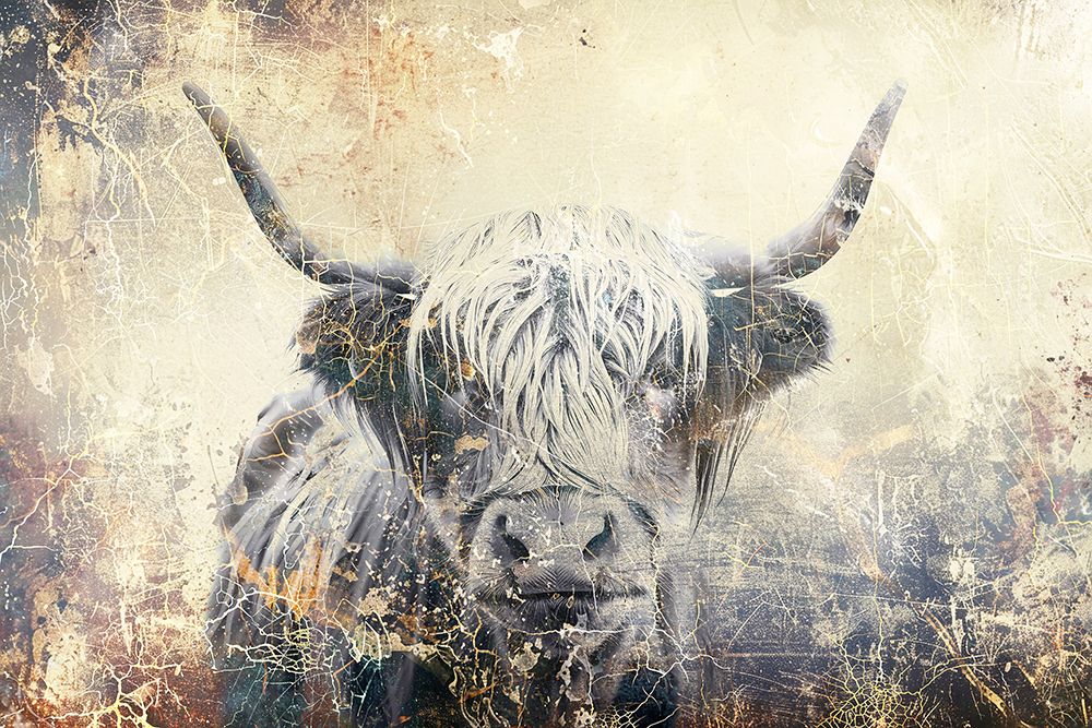 Cow Highland Illustration Art 04 art print by Rafal Kulik for $57.95 CAD