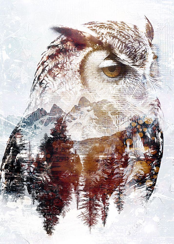 Owl Wild Animal Vintage Illustration Art 02 art print by Rafal Kulik for $57.95 CAD