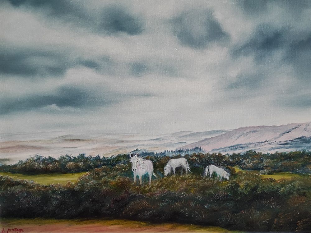 Dartmoor art print by Annette Armitage for $57.95 CAD